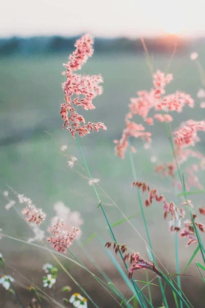 Dance With Air by 83 Oranges canvas print