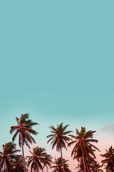Fine Art Print: California by 83 Oranges