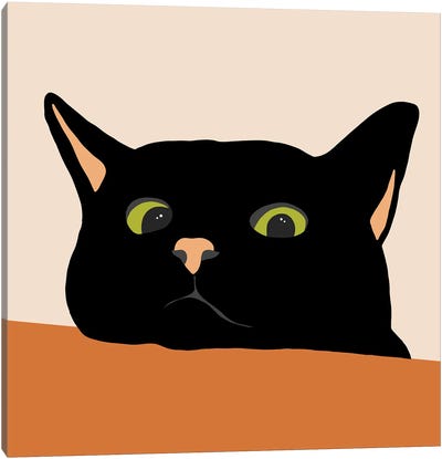 The Curious Cat Canvas Art Print - Black Cat Art