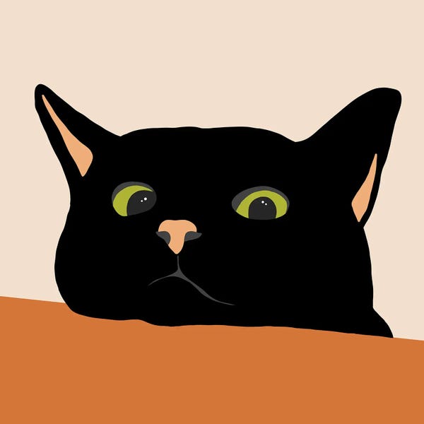 Animal Lover: The Curious Cat by 83 Oranges