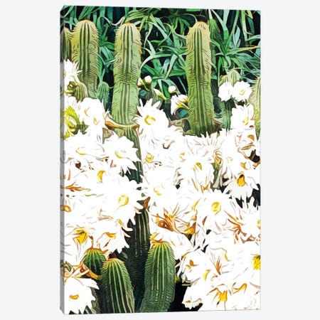Cactus & Bloom Canvas Print #UMA199} by 83 Oranges Art Print