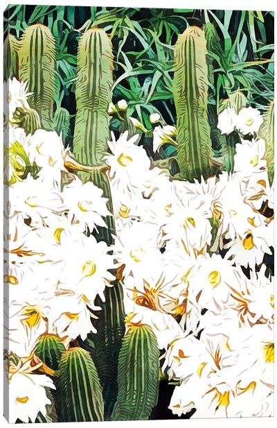 Cactus & Bloom Canvas Art Print - Daisy Art