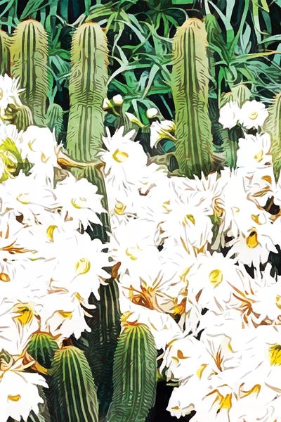 Daisies: Cactus & Bloom by 83 Oranges
