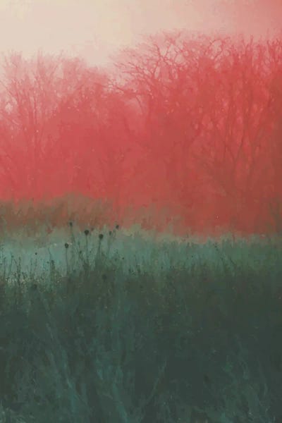 Two Worlds by 83 Oranges canvas print