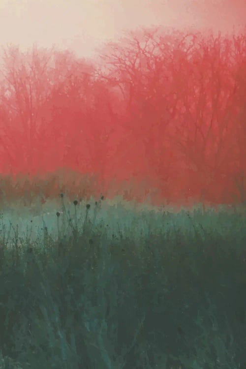 Two Worlds by 83 Oranges wall art