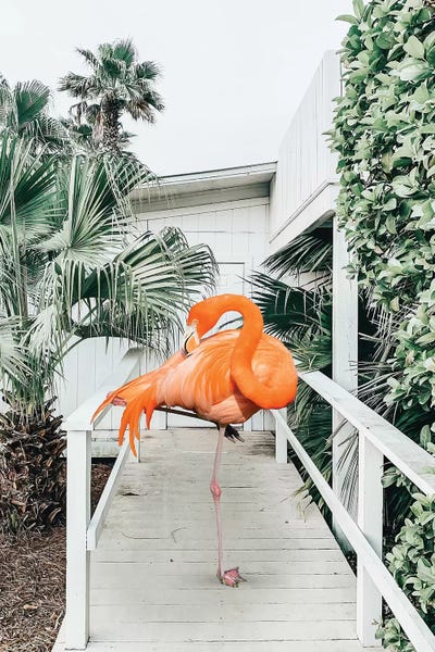 Flamingo Beach House by 83 Oranges art print