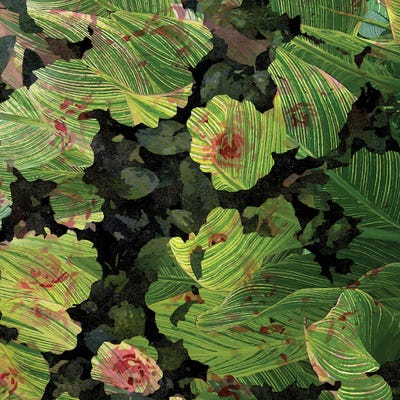 Undefined Joy V3 by 83 Oranges canvas print