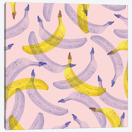 Banana Under Scrutiny Canvas Print #UMA2084} by 83 Oranges Canvas Wall Art