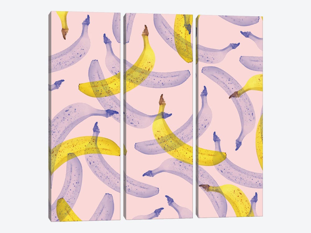 Banana Under Scrutiny by 83 Oranges 3-piece Canvas Wall Art