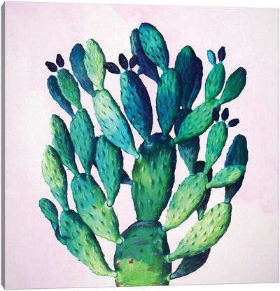Cactus Plant Canvas Art Print - Cactus Art