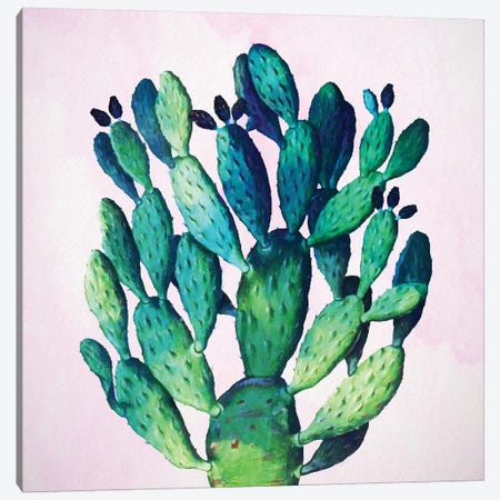 Cactus Plant Canvas Print #UMA20} by 83 Oranges Canvas Art Print