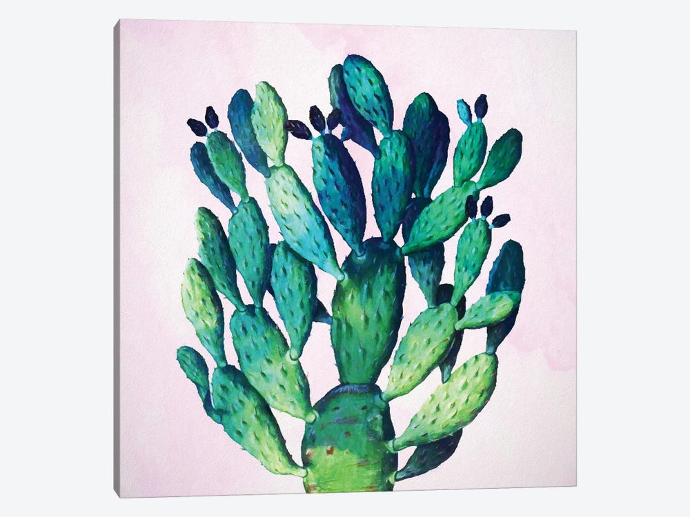 Cactus Plant by 83 Oranges 1-piece Canvas Print