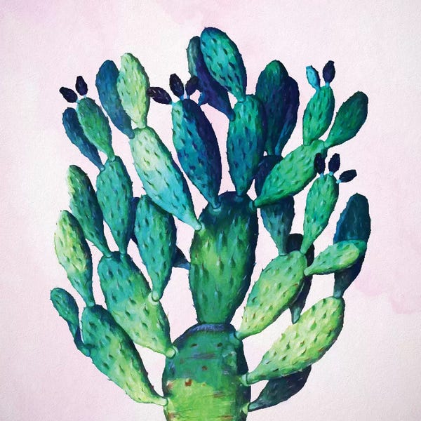 Asian Artists: Cactus Plant by 83 Oranges