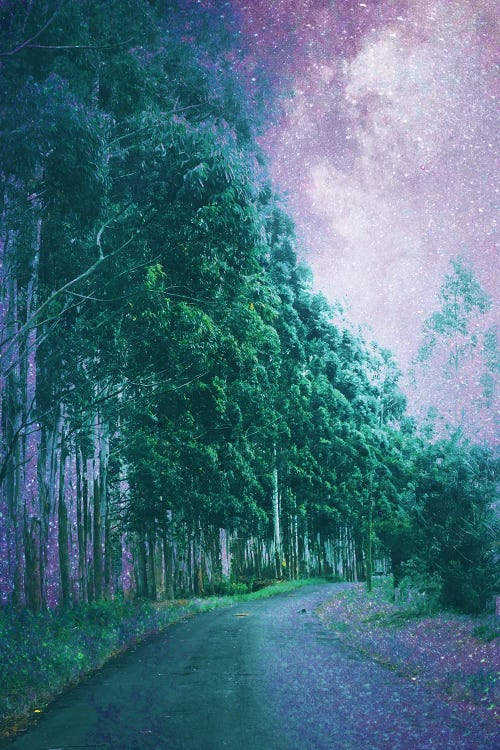 Magical Path by 83 Oranges wall art