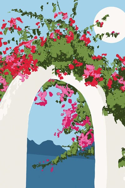 Bougainvillea: Bougainvillea Arch by 83 Oranges