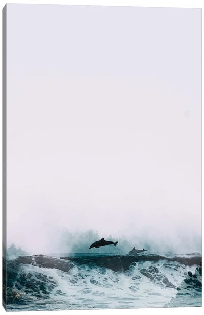 The Song Of Freedom Canvas Art Print - Dolphin Art