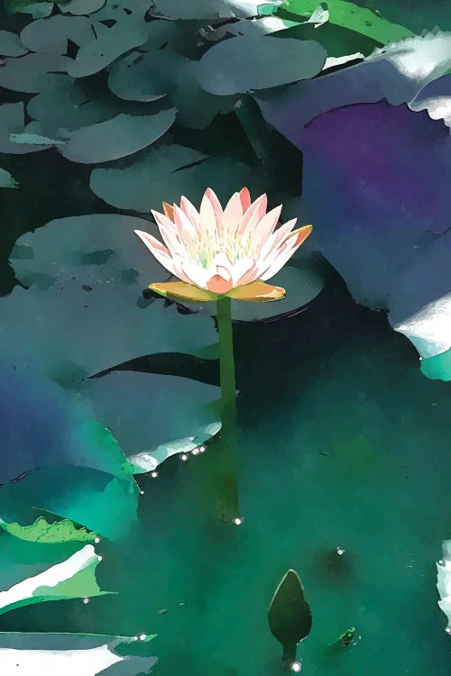 Joie De Vivre Lotus by 83 Oranges wall art