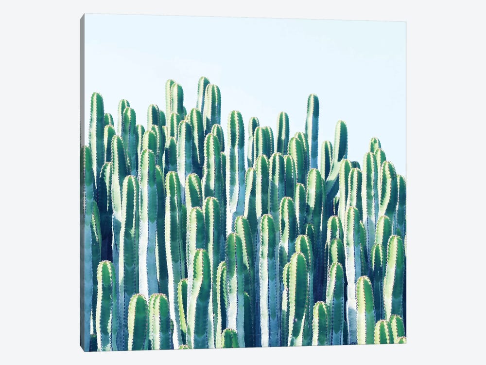 Cactus Plants by 83 Oranges 1-piece Canvas Art