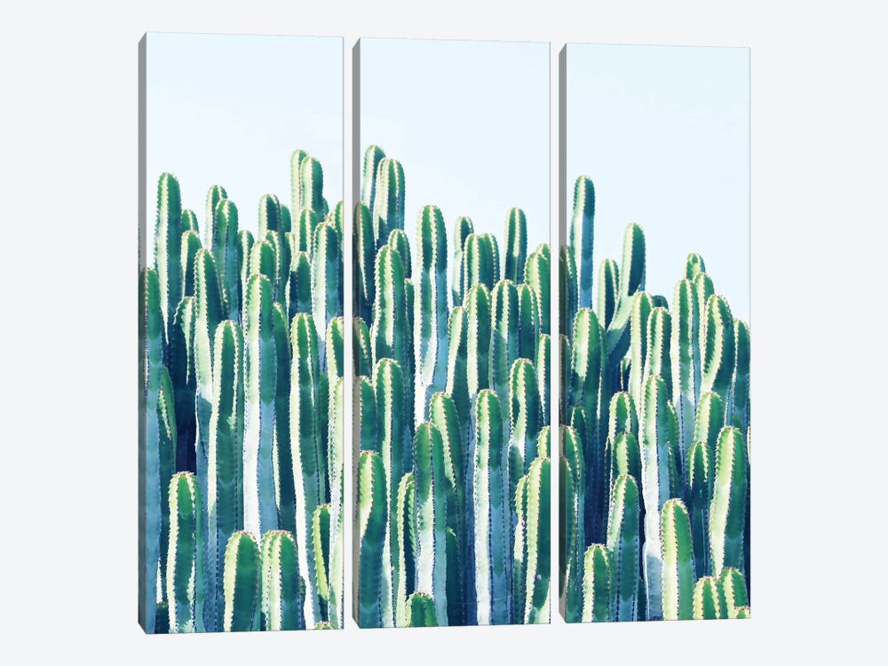 Cactus Plants by 83 Oranges 3-piece Canvas Wall Art