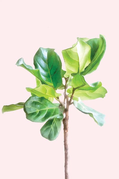 Intimate Energy, Blush Pastel Botanical Plant by 83 Oranges canvas print