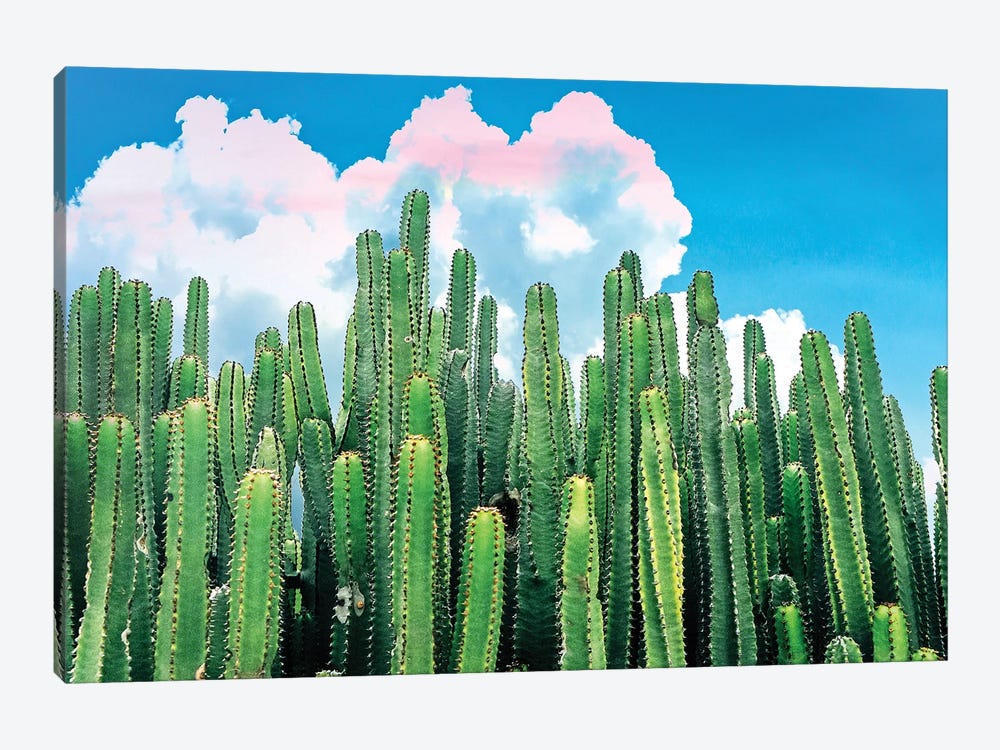 Cactus Summer by 83 Oranges 1-piece Canvas Wall Art