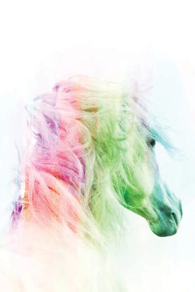 Dream by 83 Oranges canvas print