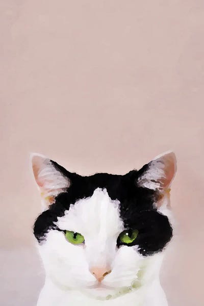 Up To No Good by 83 Oranges canvas print