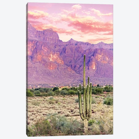 Cactus Sunset Canvas Print #UMA228} by 83 Oranges Art Print