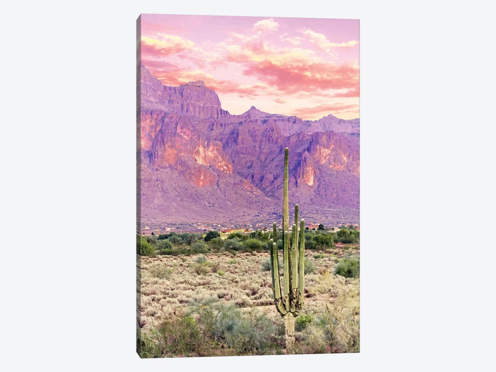 Cactus Sunset by 83 Oranges 1-piece Canvas Art Print