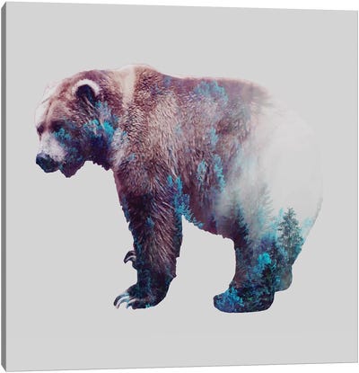 Repressed Transformation Canvas Art Print - Brown Bear Art