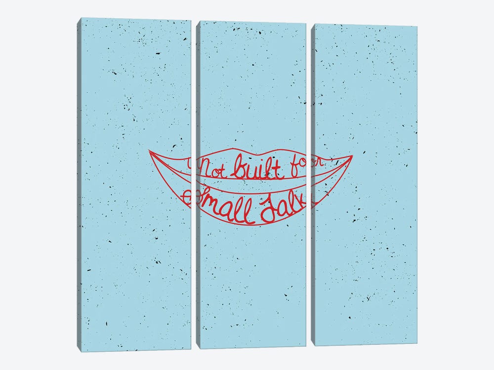 Not Built For Small Talk by 83 Oranges 3-piece Canvas Artwork