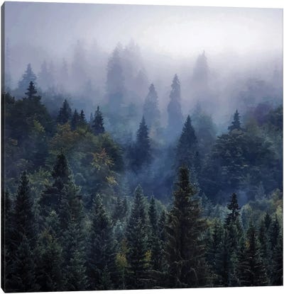 The Visionary Echo Canvas Art Print - Mist & Fog Art