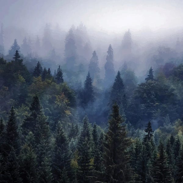 Mist & Fog: The Visionary Echo by 83 Oranges