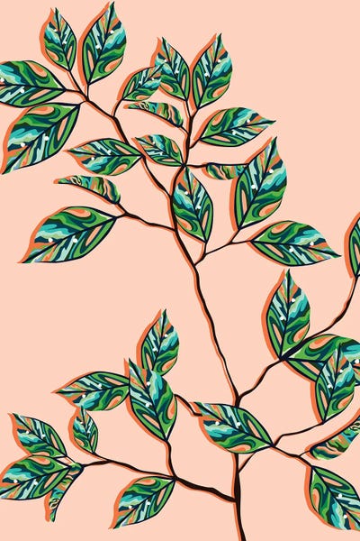 Fine Art Print: Peach Fuzz Botanical by 83 Oranges