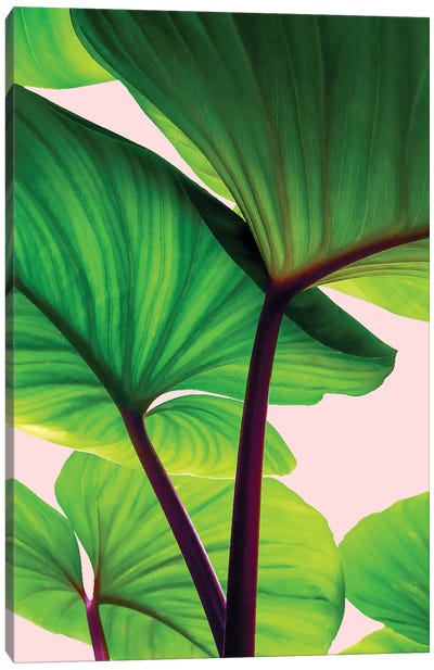 Charming Sequence Canvas Art Print - Leaf Art