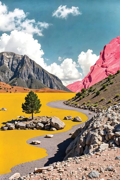 Color Pop Photography: Follow The Yellow Path by 83 Oranges