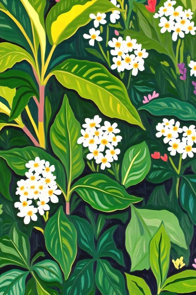 Beneath The Jungle Canopy