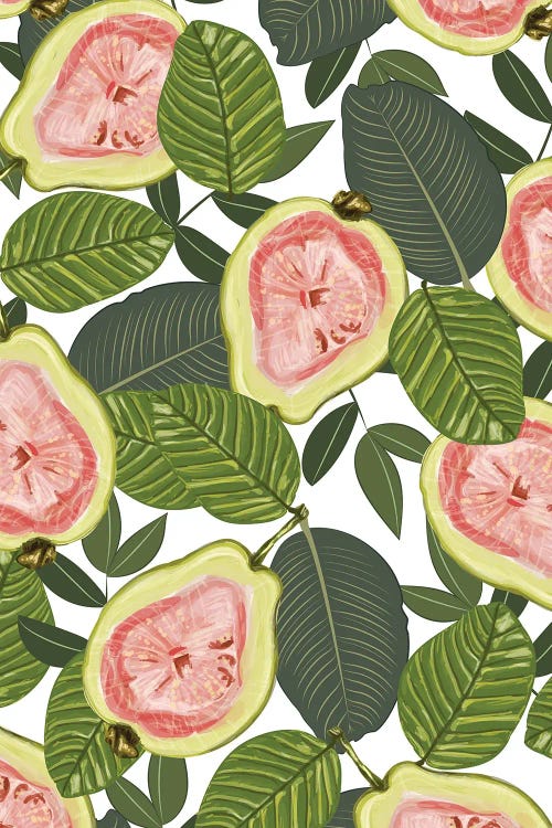 Guava Light by 83 Oranges canvas print