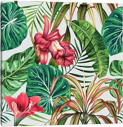 Tropica Canvas Art Print - Floral & Botanical Patterns
