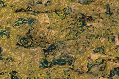 Celery - Canvas Prints: Where The Earth Rests by 83 Oranges