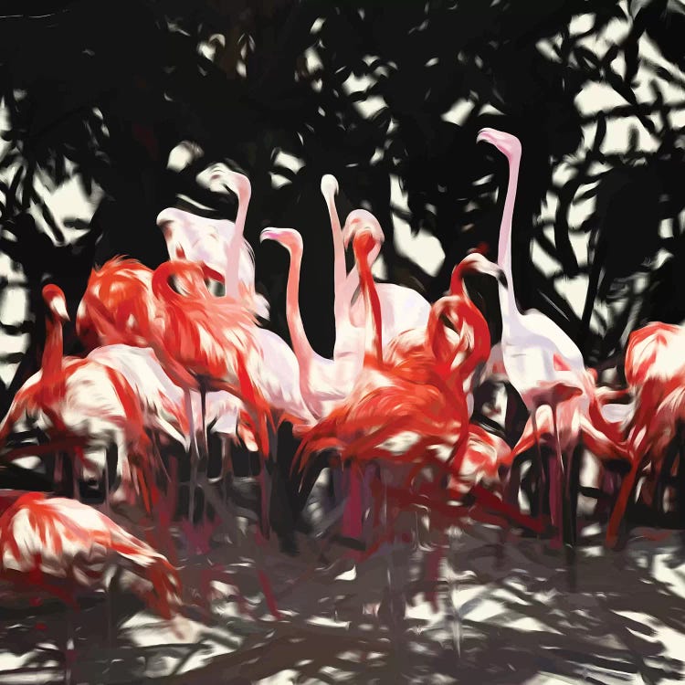 Flamingoes Under The Banyan Tree