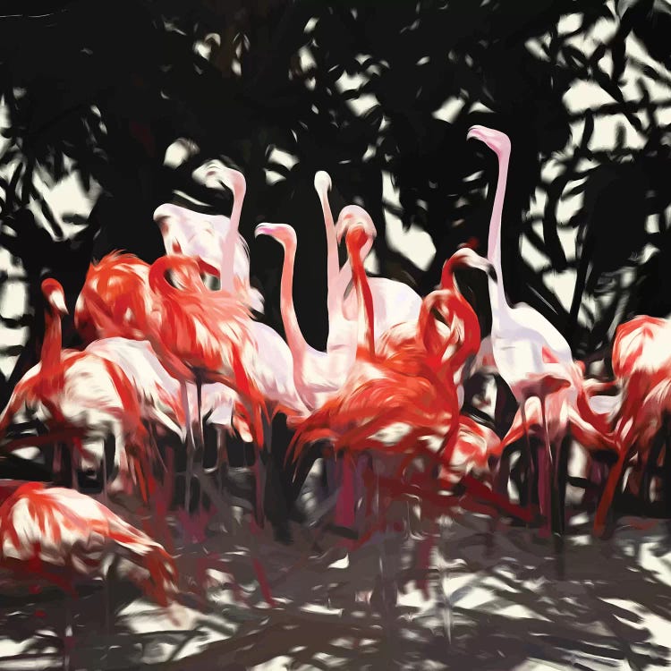 Flamingoes Under The Banyan Tree by 83 Oranges wall art