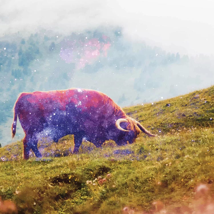 Space Cow