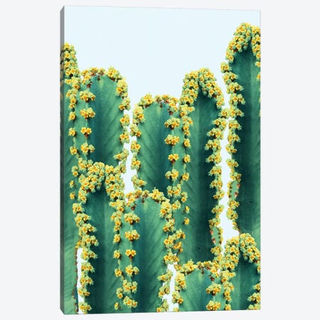Adorned Cactus Canvas Print #UMA2} by 83 Oranges Canvas Art