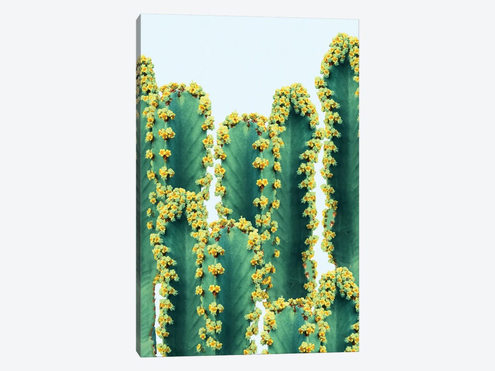 Adorned Cactus by 83 Oranges 1-piece Canvas Art Print