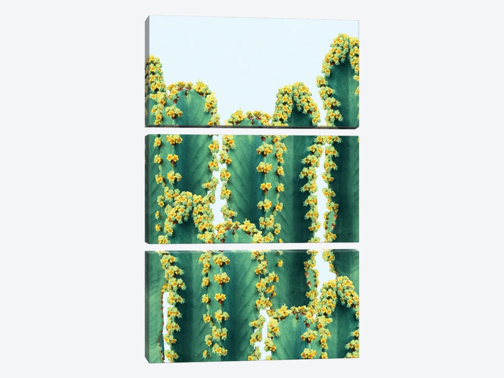 Adorned Cactus by 83 Oranges 3-piece Canvas Print