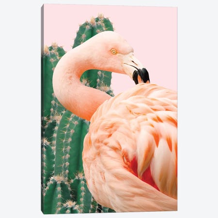 Flamingo And Cactus Canvas Print #UMA30} by 83 Oranges Canvas Artwork