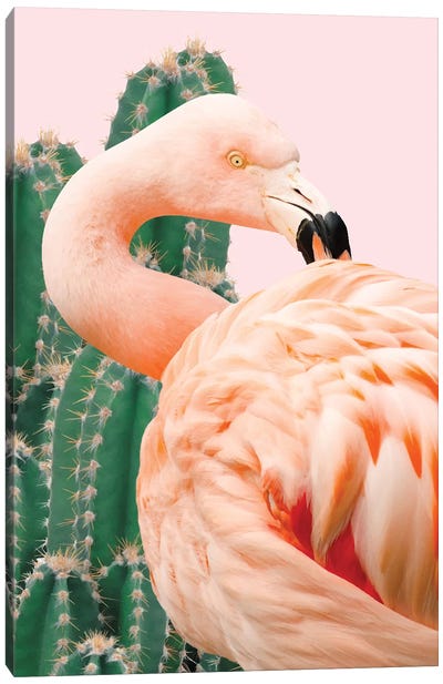 Flamingo And Cactus Canvas Art Print - Pantone Living Coral 2019