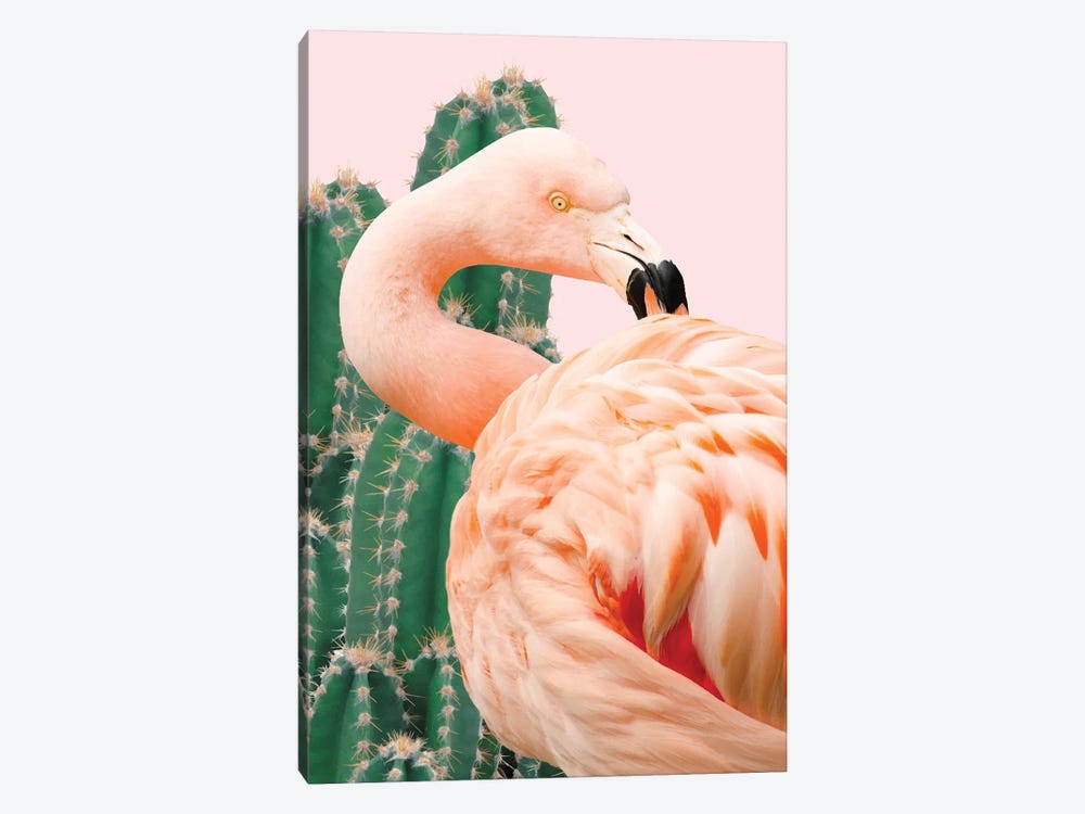 Flamingo And Cactus by 83 Oranges 1-piece Canvas Art