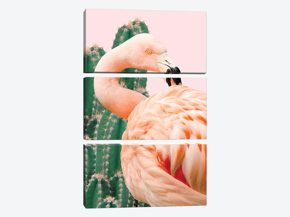 Flamingo And Cactus by 83 Oranges 3-piece Canvas Art